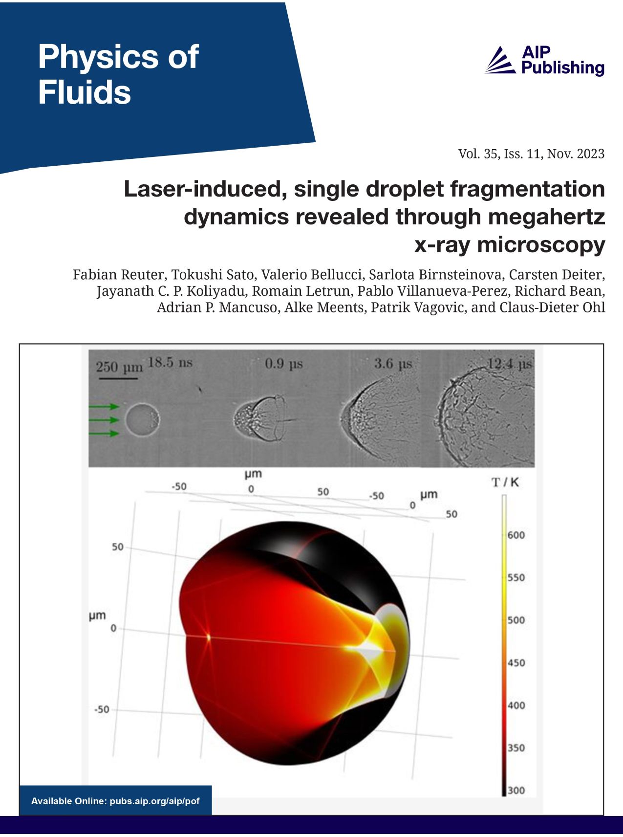 Research at EuXFEL rewarded with a Cover of the November 2023 issue of Physics of Fluid_pic