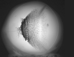 2017_1T12 Jan10 dt=5 us 100% en Fr3 SW ENHb240x185